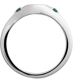 72463 Ring Set 14K White Natural Alexandrite Round 2 Mm Polished Natural Alexandrite Signet Ring