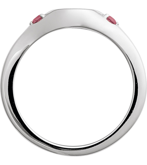72463 Ring Set 14K White Natural Pink Tourmaline Round 2 Mm Polished Natural Pink Tourmaline Signet Ring