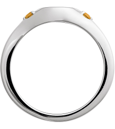 72463 Ring Set Sterling Silver Natural Citrine Round 2 Mm Polished Natural Citrine Signet Ring