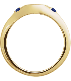 72463 Ring Set 14K Yellow Lab-Grown Blue Sapphire Round 2 Mm Polished Lab-Grown Blue Sapphire Signet Ring