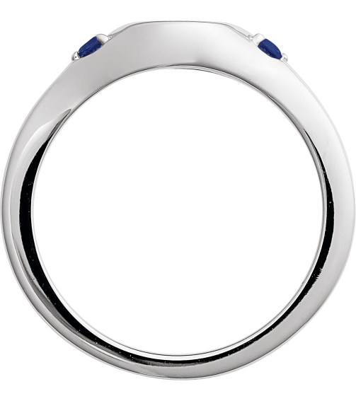 72463 Ring Set 14K White Natural Blue Sapphire Round 2 Mm Polished Natural Blue Sapphire Signet Ring