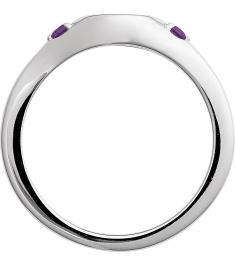 72463 Ring Set Sterling Silver Natural Amethyst Round 2 Mm Polished Natural Amethyst Signet Ring