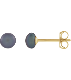 651659 14K Yellow Set Pearl Cultured Black Freshwater Pearl Pair 4.0-4.5 Mm Friction Friction Backs Included Pearl Polished Freshwater Cultured Black Pearl Earrings