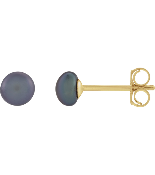 651659 14K Yellow Set Pearl Cultured Black Freshwater Pearl Pair 4.0-4.5 Mm Friction Friction Backs Included Pearl Polished Freshwater Cultured Black Pearl Earrings