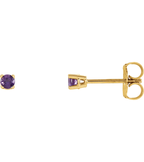 1874 14K Yellow Set Round Natural Amethyst Pair 2.5 Mm Friction Friction Backs Included 4-Prong Polished Natural Amethyst Stud Earrings