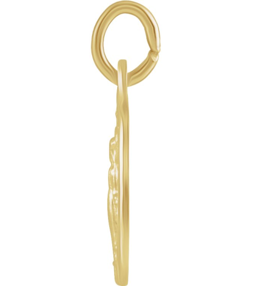 R5020 Pendant 14K Yellow 9 X 6 Mm Polished Oval Miraculous Medal