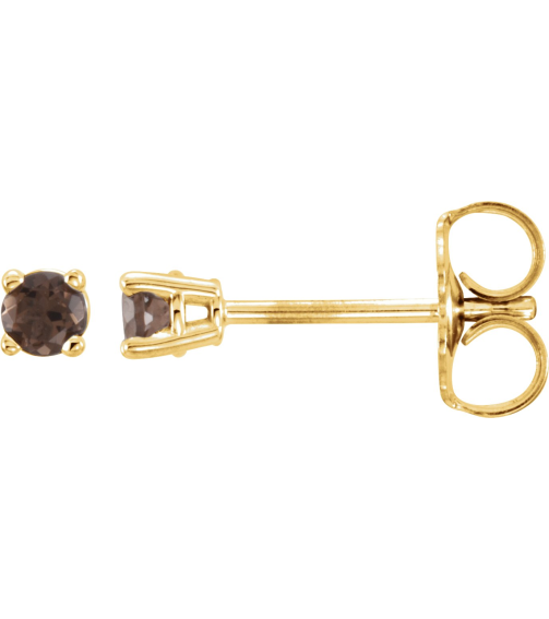 1874 14K Yellow Set Round Natural Smoky Quartz Pair 2.5 Mm Friction Friction Backs Included 4-Prong Polished Natural Smoky Quartz Stud Earrings